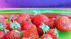 Kreuzallergie: Erdbeeren als Auslöser, Allergie, Erdbeeren, Kreuzallergie, Obst