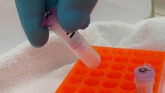 Eppendorf-Reaktionsgefäße, Generika, Labor, Forschung