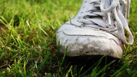 Turnschuh auf der grünen Wiese, Sport, Turnschuh, Turnschuhe, Wiese
