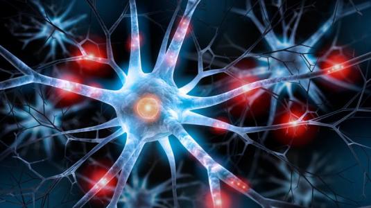 Neuroborreliose Ursachen, Anzeichen, Verlauf, Therapie NetDoktor.de