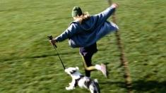 Bewegungspyramide: Rennendes Kind mit Hund, Bewegungspyramide, Bewegung, Sport