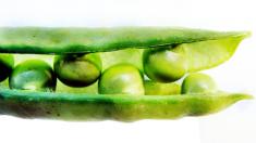 Erbsen