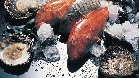Muscheln, Austern und Fische, Austern, Fisch, Meeresfrüchte, Muscheln