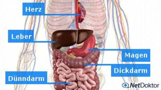 Kann Man Bei Aszites Den Bauch Einziehen