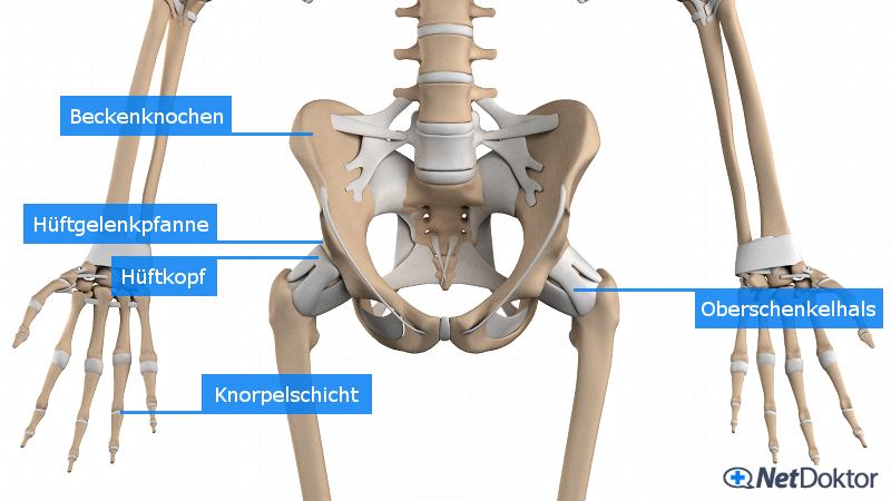 reaktive arthritis netdoktor)